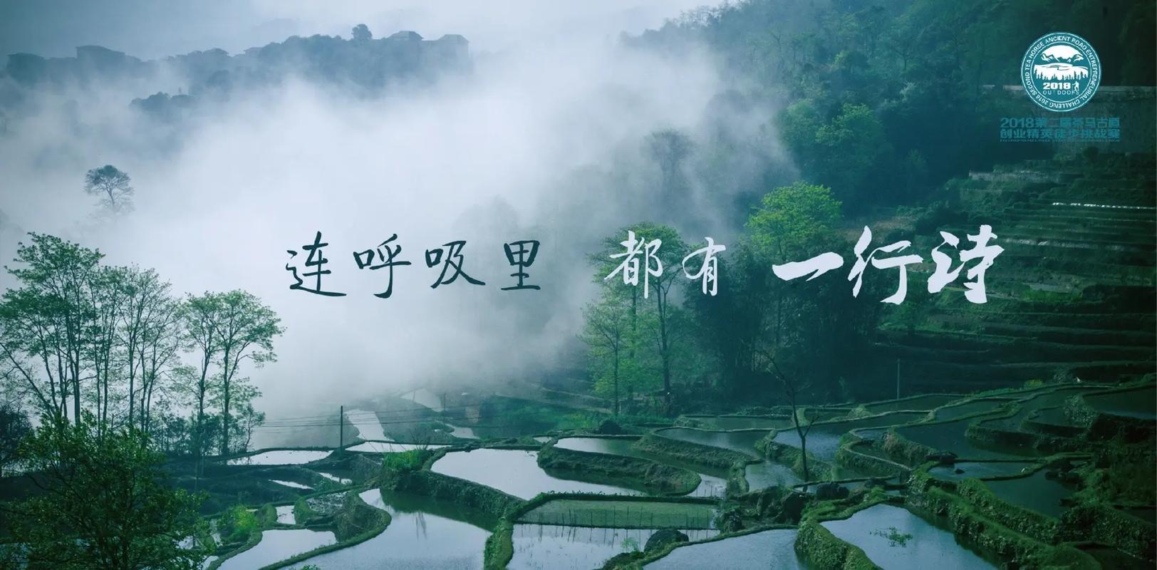 森林康养步道