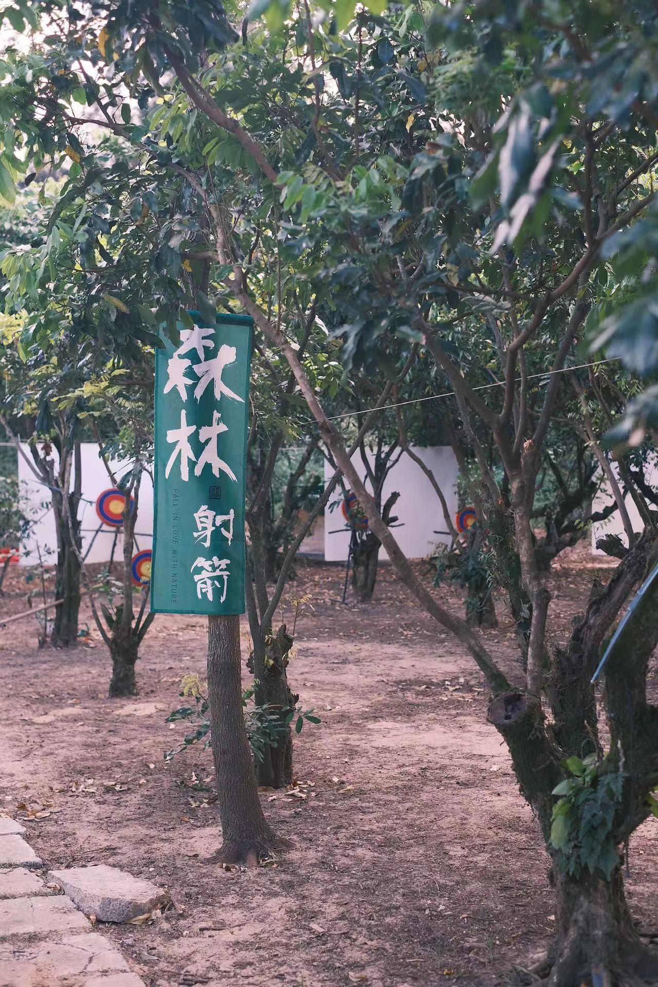 森林射箭 · 项目介绍原图