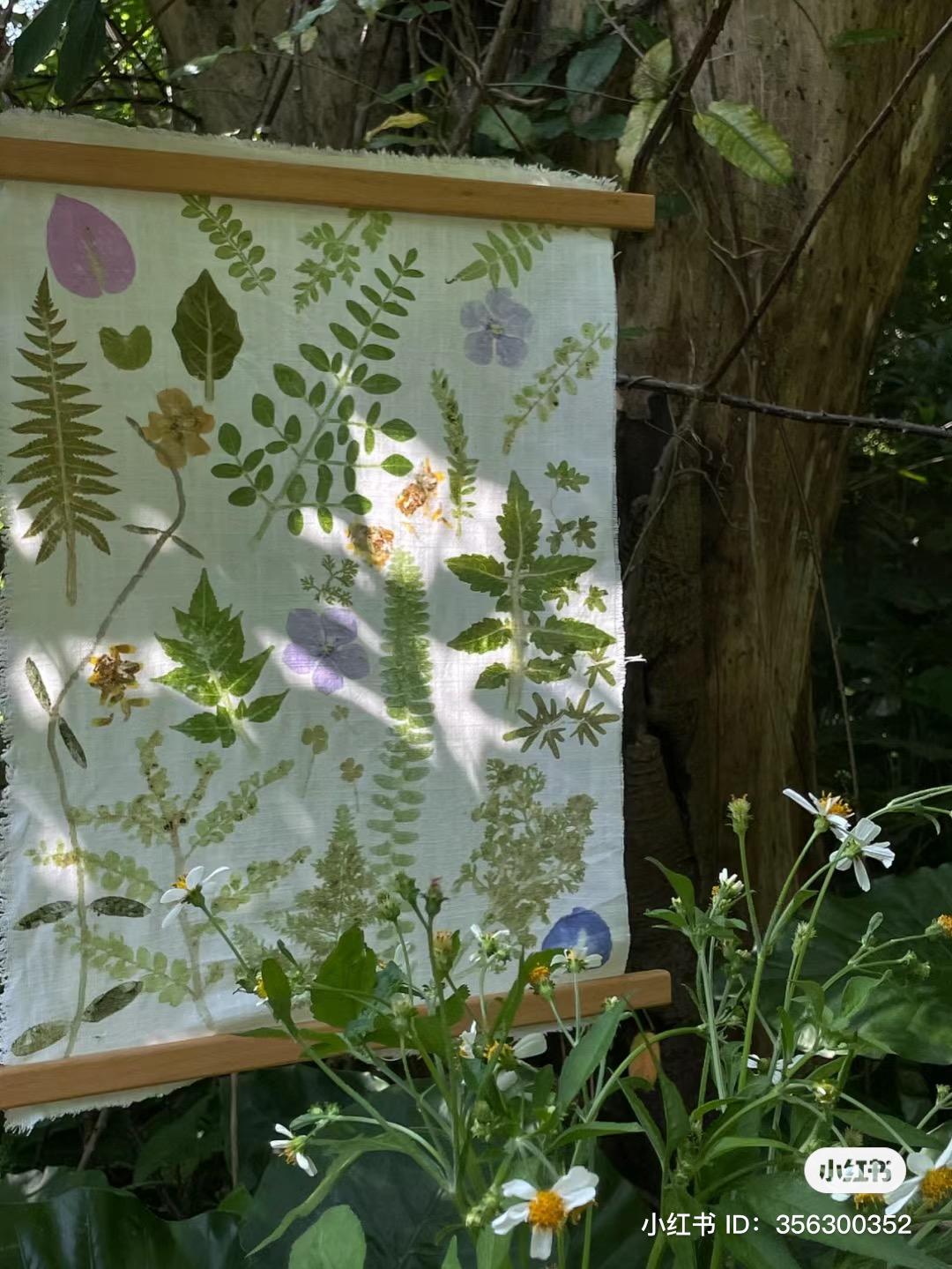 植物拓印 · 项目介绍原图